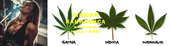 спиды Абаза