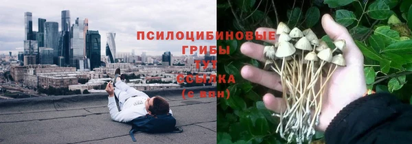 мдпв Алексин