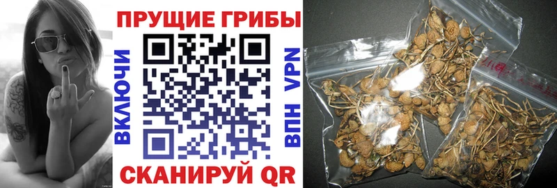 как найти закладки  Усмань  Галлюциногенные грибы мухоморы 